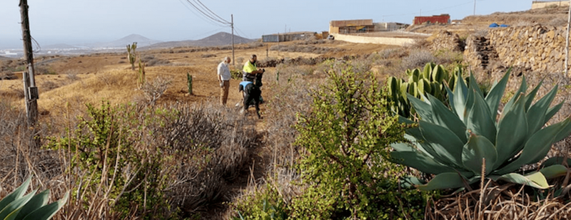 Los vecinos requirieron a la Policía Local para la retirada del cadáver de un perro / TA